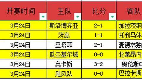 那不勒斯球员伊瓜因：前腰身披中锋风采
